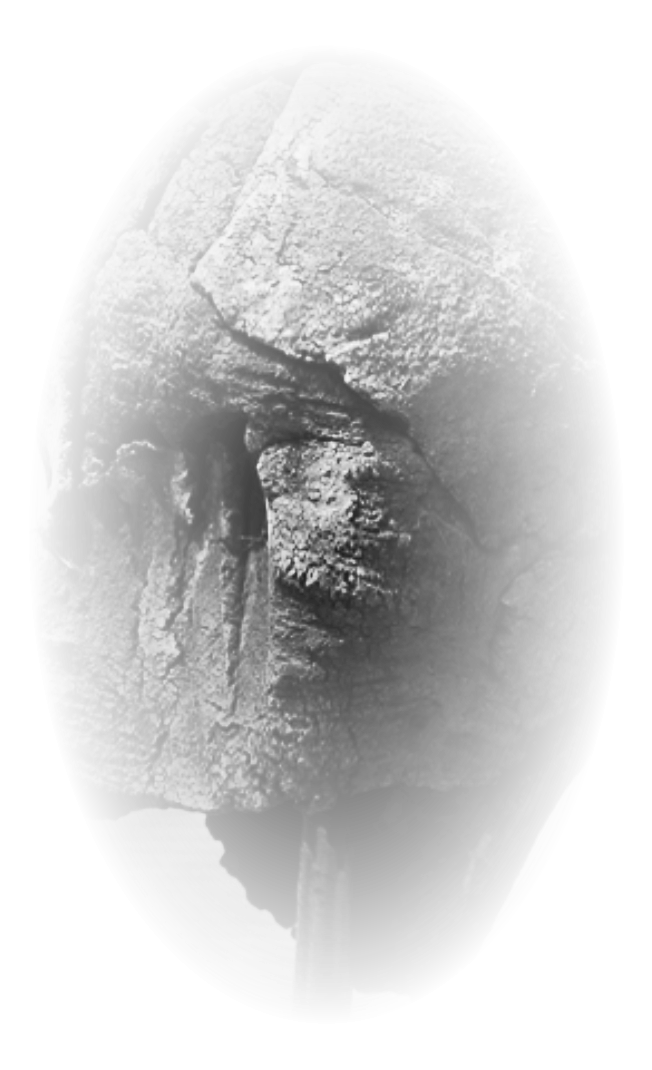 Sculpture 2014 – Arya -  H : 66cm X 39 cm X 30 cm - Céramique